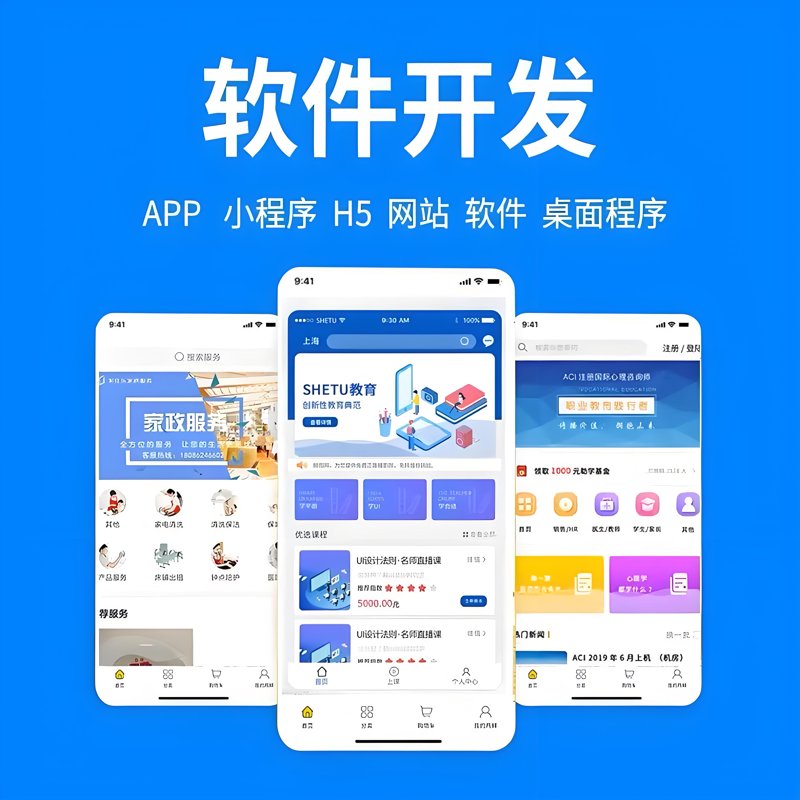 软件开发定制：紧跟科技步伐的艺术